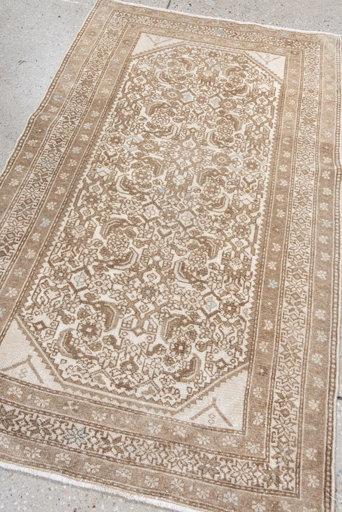 Antique Malayer Area Rug (2' x 4')